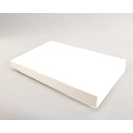 Fryer Filter Envelope 14X22 IN Paper 1.5 Inch Hole 1 Sided 100/Case